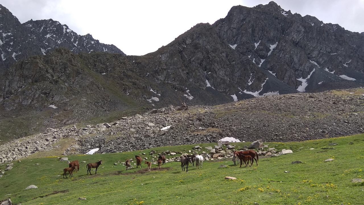 Отель Гостевой дом Ala-Kul Каракол Экстерьер фото